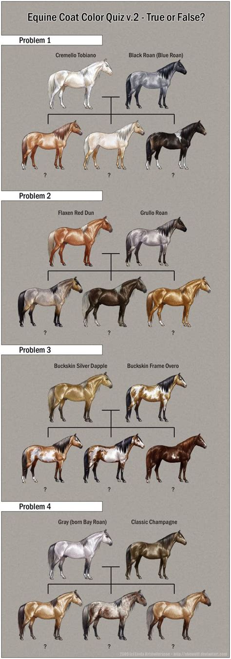 equine color genetics markings images  pinterest horse