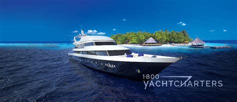 azalea yacht charter  superyacht experiencetm   yacht charters