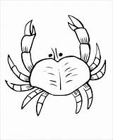 Crab Coloringbay sketch template