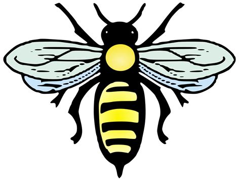 File Abeille Bee Svg Wikimedia Commons