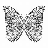 Schmetterling Ausmalen Butterfly Schmetterlinge Ausmalbild Mariposa Tattoo Antistress Oriental Erwachsene Ornamente Colorear Ornament Kinderbilder Tantasalute 123rf sketch template