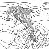 Dolphin Dauphin Zentangle Delphin Erwachsene Adulte Mondes Justcolor Adulti Aquatiques Coloriages Wasserwelten Fur Malbuch Oceanic Adultes Magique Delfin Vektor Dolphins sketch template