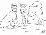 Husky Huskies Siberian Lineart Kolorowanki Simensis Canis Dibujos Pobierz Drukuj sketch template
