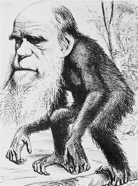 Bbc Iwonder Charles Darwin Evolution And The Story Of Our Species