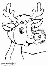 Reindeer Rudolph Nosed Red Coloring Printable Pages Print Drawing Christmas Color Printables Santa Kids Sleigh Ink Low Version Printcolorfun Worksheets sketch template