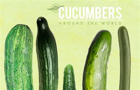 Otp S Guide To Big Thick Juicy Cucumbers Around The World Huffpost Life