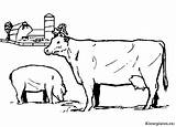 Koeien Dieren sketch template