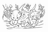 Colorat Planse Pisici Desene Poze Animale Desenat Fise Pictat Desenate Flori Dragute Ponei Cristinapicteaza Cele Frumoase sketch template