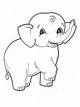 Elephant Coloring Pages Printable Kids Color sketch template