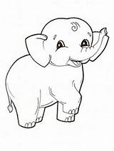 Elephant Coloring Baby sketch template