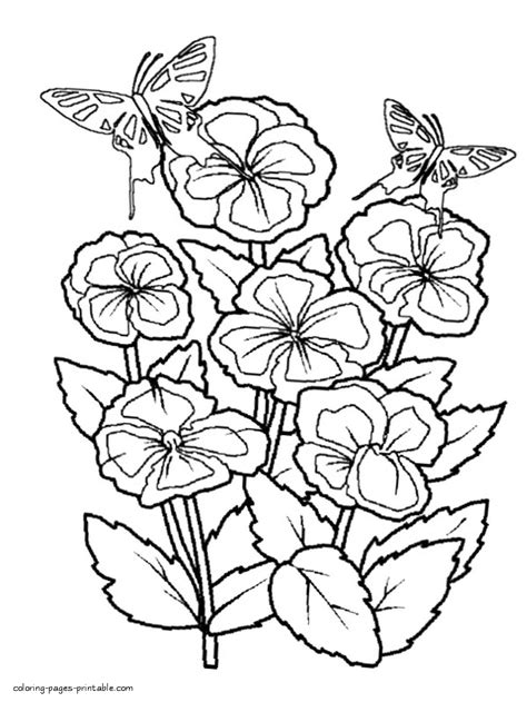 butterfly coloring sheets coloring pages printablecom