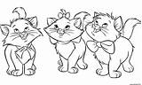 Chats Chaton sketch template