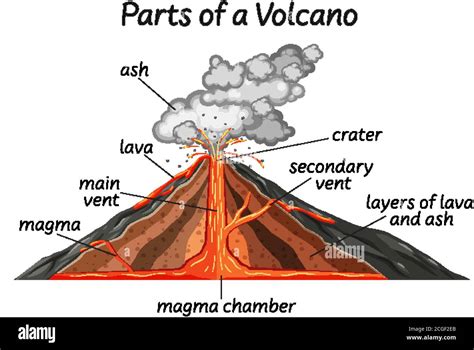 volcano diagram  res stock photography  images alamy