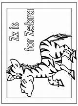 Zebra Coloring Zz Pages Color Zebras Animals Activity Library Clipart Popular sketch template