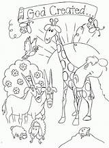 Coloring Pages Sunday School Christmas Creation Clipart Children Bible Story Kids Library sketch template