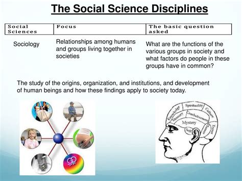 ppt the social science disciplines powerpoint presentation free