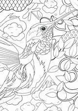 Coloring Pages Complex Animal Complicated Getcolorings Printable Getdrawings sketch template