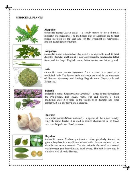related image medicinal herbs herbal medicine herbalism