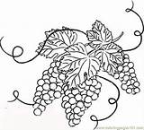 Grapes Coloring Grape Vine Clipart Clip Leaves Pages Drawing Vineyard Branches Mosaic Cliparts Drawings Flower Outline Getdrawings Vines 1000 Getcolorings sketch template