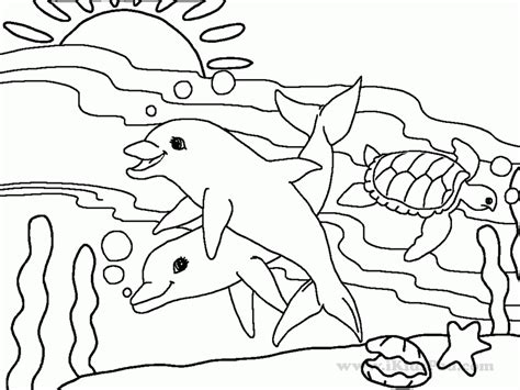 sea animals coloring pages