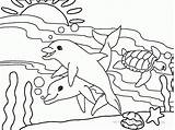 Coloring Dolphin Pages Underwater Printable Kids Turtle Sea Animals Dolphins Two Popular sketch template
