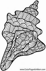 Mandala Adults Mandalas Zentangle Shells Marini Patterns Seahorse Grown Colorpagesformom 1720 Coloriage Libros Ausmalbilder Mamma Casalinga Seashell Lisa sketch template