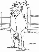 Horse Coloring Pages Printable Kids Horses Color Print Friesian Sheets Girls Quarter Barbie Colorear Para Cute Baby Book Animal Imprimir sketch template