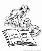 Coloring Pages Bible Creation Beginning Story Printables God Biblical Created Clipart Old Made Animals Printable Children School Testament Colouring Sunday sketch template