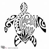 Turtle Tribal Tattoo Hawaiian Sea Samoan Drawing Maori Designs Tattoos Polynesian Honu Drawings Turtles Meaning Getdrawings Ray Tattootribes Family Drummer sketch template