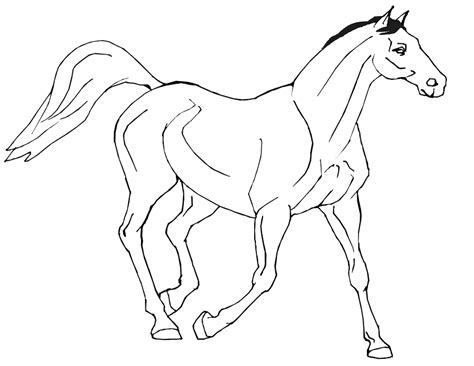 coloring pages horses coloring home