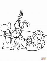 Easter Bunny Coloring Paashaas Pages Cute Kleurplaat Hemp Paaseieren Met Printable Print Color Book Printen Om Te Grote Afbeelding sketch template