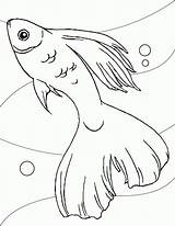 Coloring Jumping Fish Pages Popular sketch template