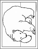 Bear Polar Coloring Pages Drawing Cute Bears Arctic Colorwithfuzzy Realistic Baby Outline Color Animals Printable Giants Babies Kids Teddy sketch template