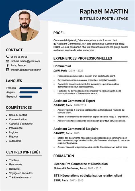 french cv template printable templates