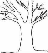 Tree Coloring Pages Leaves Without Bare Branch Branches Clipart Drawing Trunk Printable Line Template Leaf Government Trees Outline Print Colouring sketch template