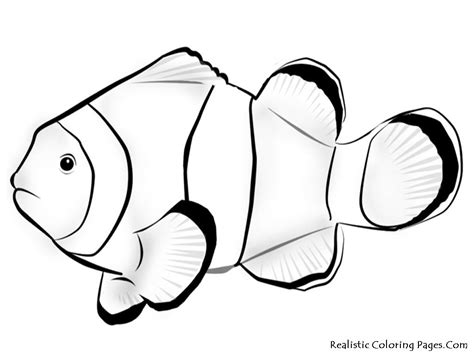 nemo fish coloring pages fish coloring page animal coloring pages