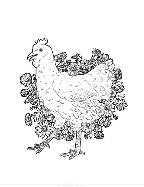 chicken cartoon coloring coloring pages