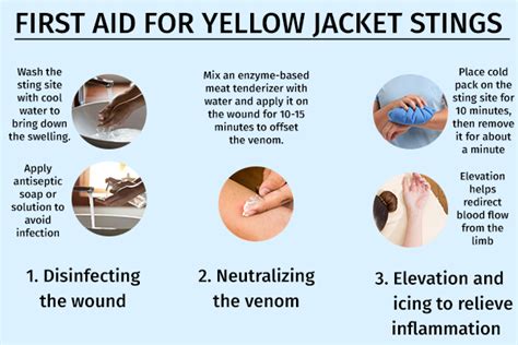 yellow jacket sting  aid home remedies  care tips