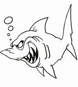Coloring Bull Shark Pages Popular sketch template