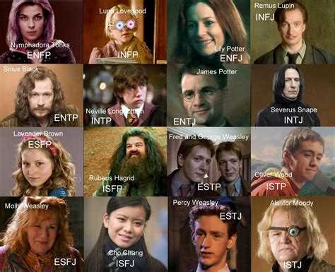 harry potter personality personality chart myers briggs personality
