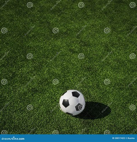 soccer stock photography image