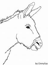 Donkey Lineart sketch template