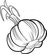 Ajo Colorir Alho Boyama Garlic Onion Vegetales Vegetal Vegetable Livro Besinler Sayfalari Leek Vetor Grafikleri Sebze Vectorial Wrhs sketch template