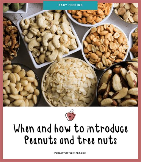 tree nuts peanuts   eater feel confident raising healthy