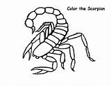 Scorpion Coloring Pages Color Scorpio Print Printable Kids Drawing Animals Mortal Kombat Easy Getcolorings Animal Getdrawings Lovely Sheets sketch template