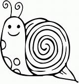 Snail Coloring Template Clipart Nevada Sierra Popular Library Insect sketch template