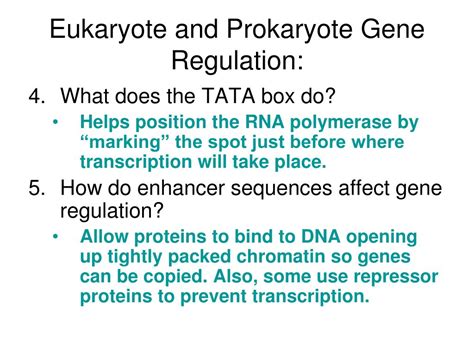 Ppt Gene Regulation Powerpoint Presentation Free Download Id 1807555