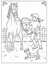 Paard Kleurplaten Dressuur Paarden Springen Veulen Ruiter Malvorlagen Dieren Wedstrijd Pferde Omnilabo Coloriages Coloriage Ausdrucken Printen Poney Hindernis Malen Buch sketch template