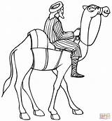 Camel Riding Coloring Pages Camels Drawing Horse Printable Color sketch template