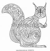 Squirrel Zentangle sketch template